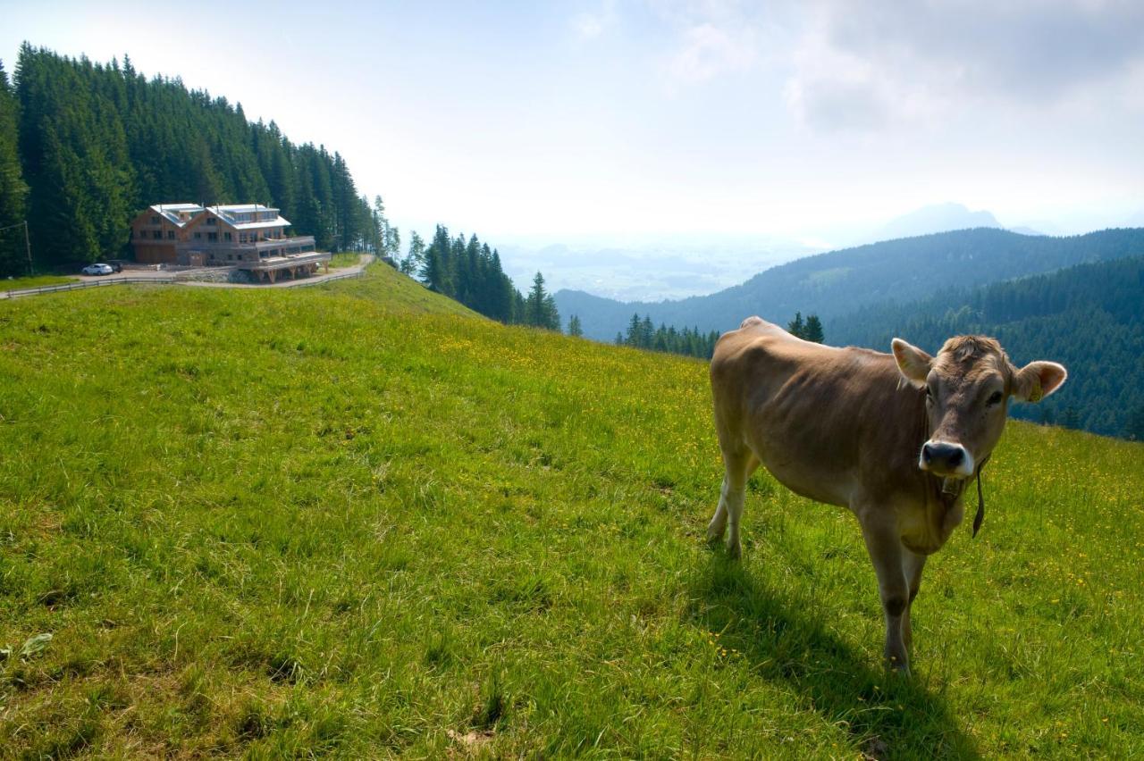 Boecklodges Nesselwang Exterior foto